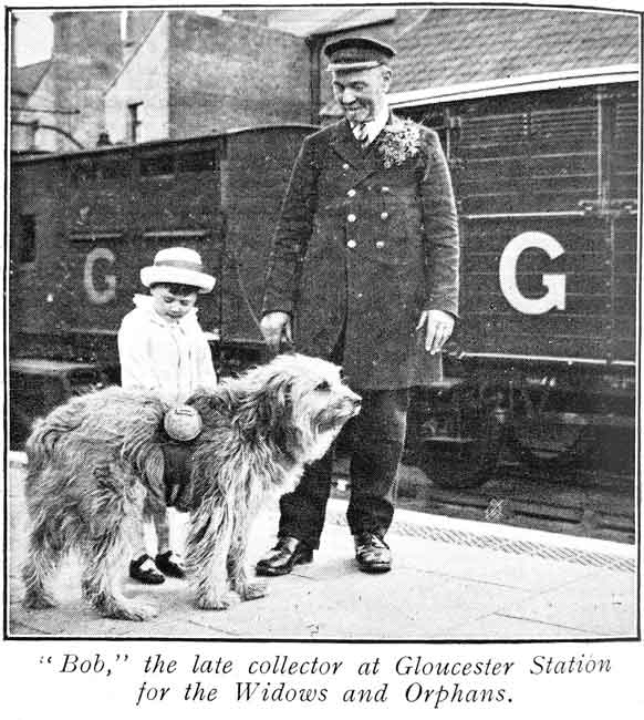 Bob the Gloucester Collecting Dog